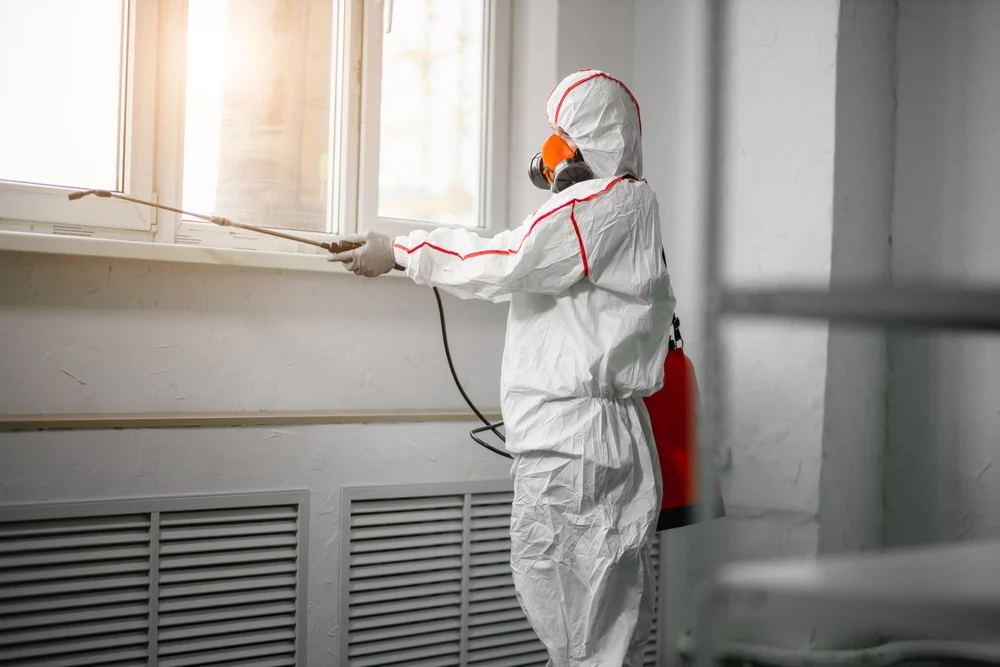 Professional mold remediation services in Dahlgren, VA